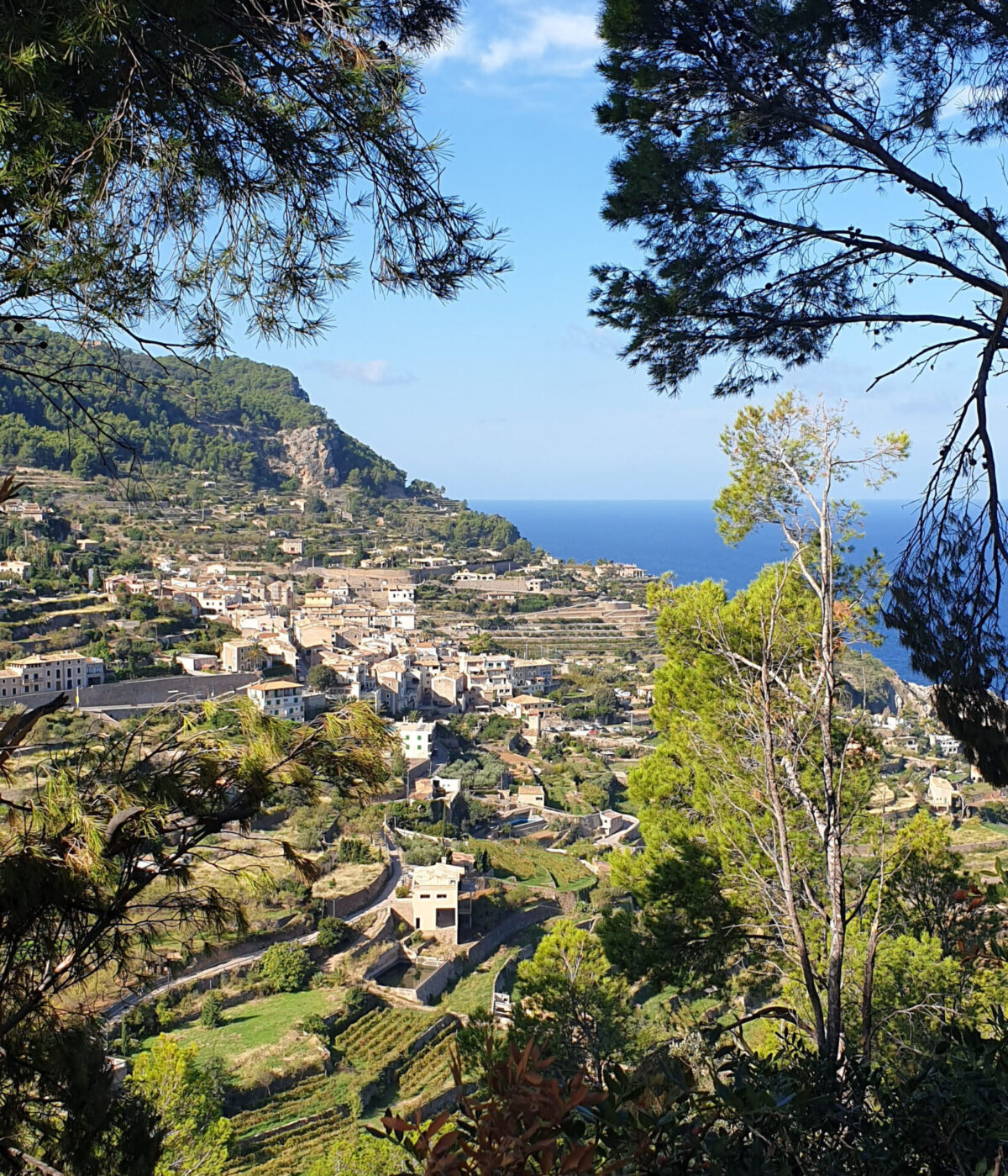 Panorámica de Banyalbufar. Ajuts