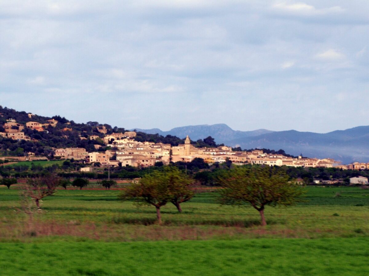 Imatge de santa eugènia ajuts