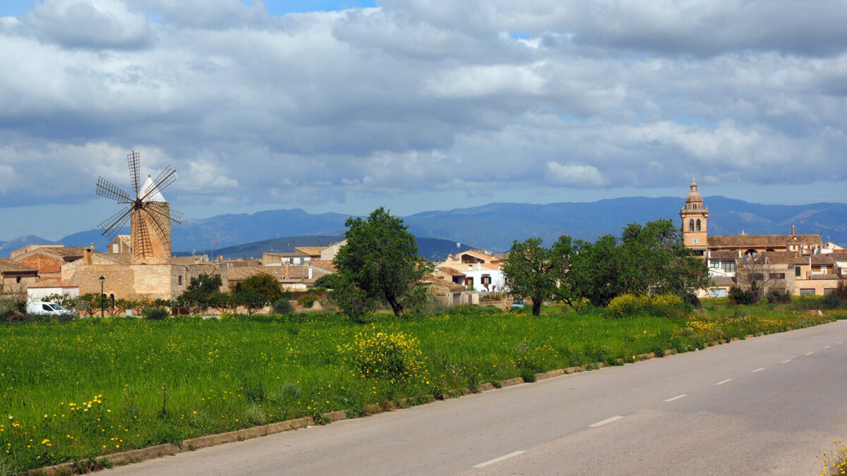Algaida ayudas
