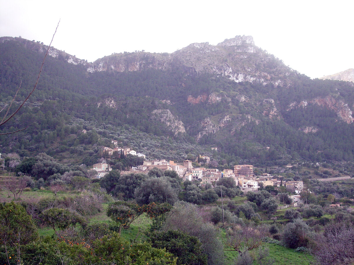 Ayudas Estellencs