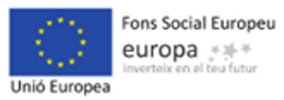 fons social europeu